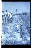 登錄號:KH2002.010.0043藏品圖，第24張