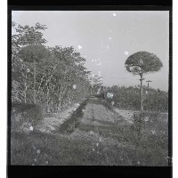 登錄號:KH2002.010.0043藏品圖，第33張