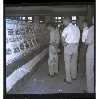 登錄號:KH2002.010.0045藏品圖，第10張