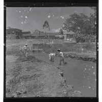 登錄號:KH2002.010.0056藏品圖，第2張