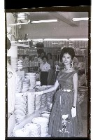 登錄號:KH2002.010.0059藏品圖，第15張