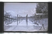 登錄號:KH2002.010.0060藏品圖，第19張