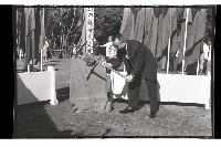 登錄號:KH2002.010.0071藏品圖，第3張