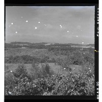 登錄號:KH2002.010.0072藏品圖，第5張