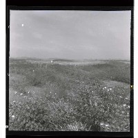 登錄號:KH2002.010.0072藏品圖，第6張