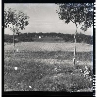 登錄號:KH2002.010.0072藏品圖，第21張