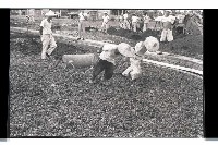 登錄號:KH2002.010.0073藏品圖，第58張