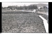 登錄號:KH2002.010.0073藏品圖，第60張