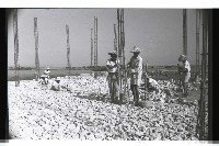 登錄號:KH2002.010.0077藏品圖，第16張