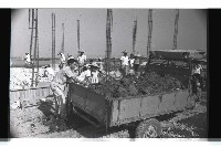 登錄號:KH2002.010.0077藏品圖，第17張