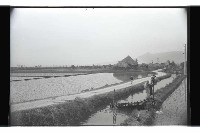 登錄號:KH2002.010.0087藏品圖，第1張