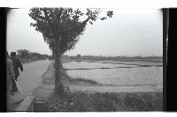 登錄號:KH2002.010.0087藏品圖，第2張