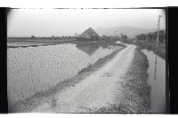 登錄號:KH2002.010.0087藏品圖，第4張