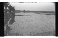 登錄號:KH2002.010.0087藏品圖，第5張