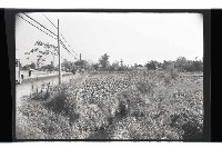 登錄號:KH2002.010.0088藏品圖，第18張