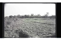 登錄號:KH2002.010.0088藏品圖，第19張