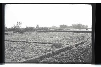 登錄號:KH2002.010.0088藏品圖，第20張