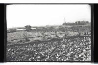 登錄號:KH2002.010.0088藏品圖，第22張