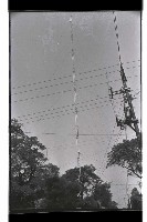 登錄號:KH2002.010.0099藏品圖，第4張