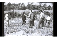 登錄號:KH2002.010.0102藏品圖，第7張