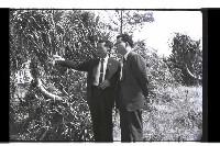 登錄號:KH2002.010.0102藏品圖，第8張