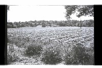 登錄號:KH2002.010.0102藏品圖，第10張