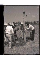 登錄號:KH2002.010.0115藏品圖，第11張