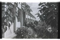 登錄號:KH2002.010.0121藏品圖，第10張