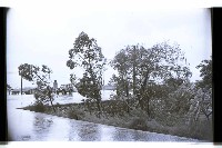 登錄號:KH2002.010.0137藏品圖，第2張