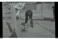 登錄號:KH2002.010.0149藏品圖，第91張