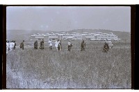 登錄號:KH2002.010.0159藏品圖，第4張