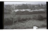 登錄號:KH2002.010.0164藏品圖，第3張