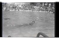 登錄號:KH2002.010.0182藏品圖，第12張