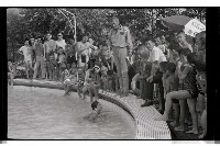 登錄號:KH2002.010.0182藏品圖，第13張