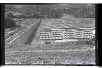 登錄號:KH2002.011.0003藏品圖，第19張