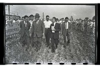 登錄號:KH2002.011.0006藏品圖，第2張