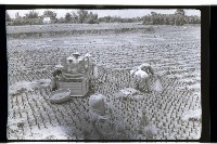 登錄號:KH2002.011.0016藏品圖，第3張