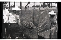 登錄號:KH2002.011.0016藏品圖，第4張