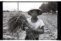 登錄號:KH2002.011.0016藏品圖，第5張