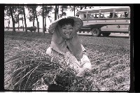 登錄號:KH2002.011.0016藏品圖，第6張