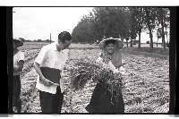 登錄號:KH2002.011.0016藏品圖，第7張