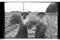 登錄號:KH2002.011.0016藏品圖，第8張