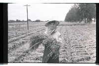 登錄號:KH2002.011.0016藏品圖，第9張