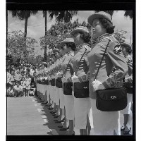 登錄號:KH2002.011.0020藏品圖，第7張