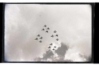 登錄號:KH2002.011.0020藏品圖，第41張