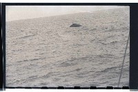 登錄號:KH2002.012.0003藏品圖，第22張