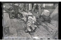 登錄號:KH2002.012.0003藏品圖，第24張