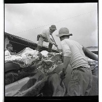 登錄號:KH2002.012.0003藏品圖，第34張