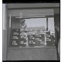 登錄號:KH2002.012.0015藏品圖，第3張