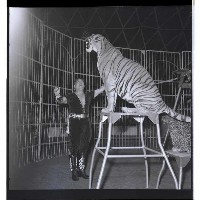 登錄號:KH2002.012.0053藏品圖，第11張